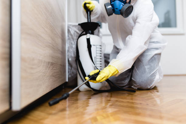 Professional Pest Control in Cleveland, GA